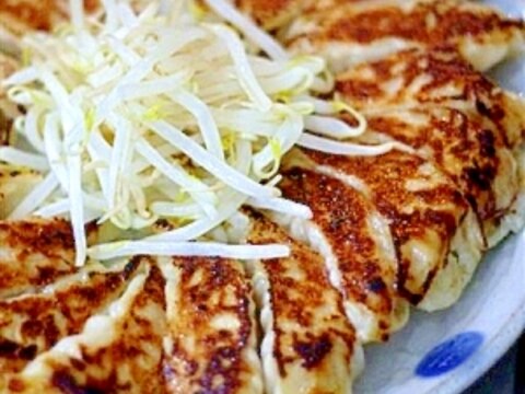 新玉ねぎ餃子の浜松餃子風